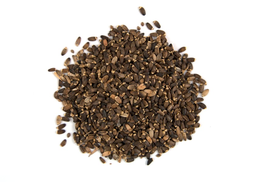 Infusión Cardo Mariano