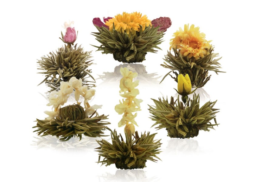 Flores de té blanco